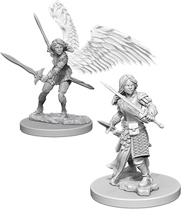Aasimar Paladin Female (Nolzurs - W05)